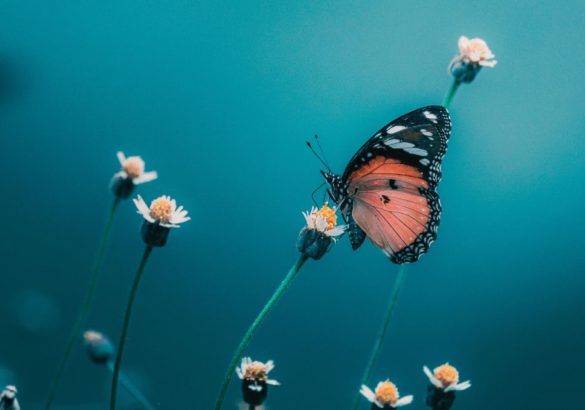 Vijf inzichten die je kunnen helpen tijdens je spirituele reis