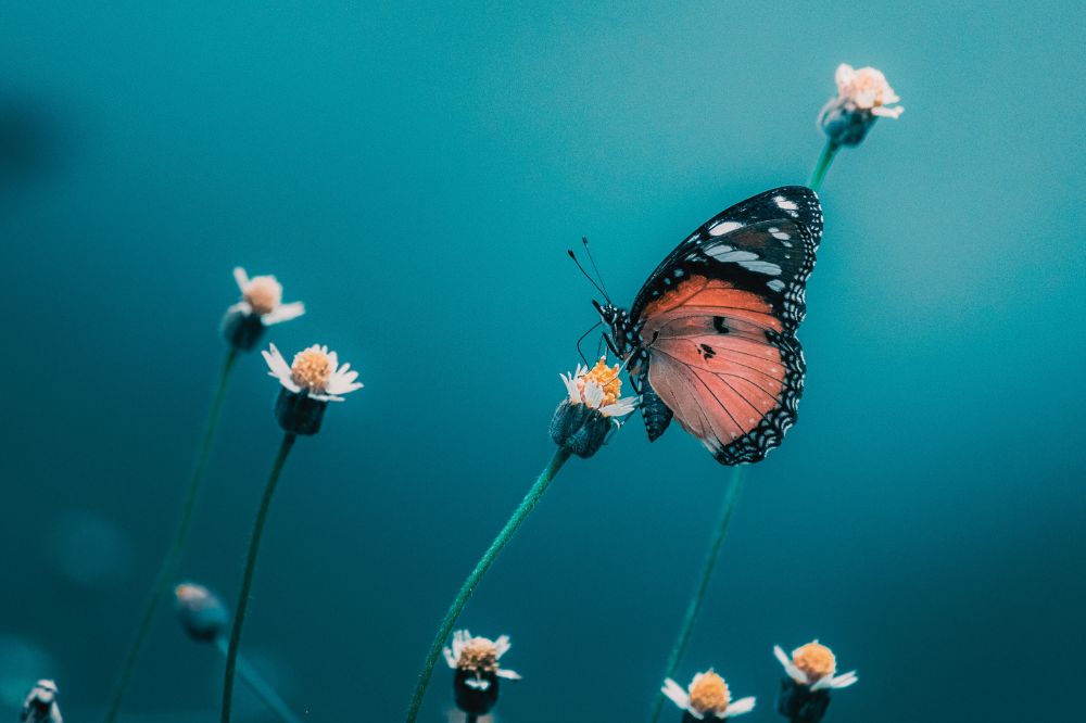 Vijf inzichten die je kunnen helpen tijdens je spirituele reis