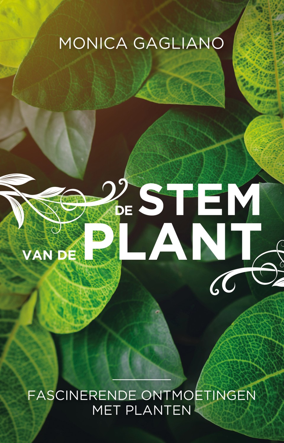 De stem van de plant