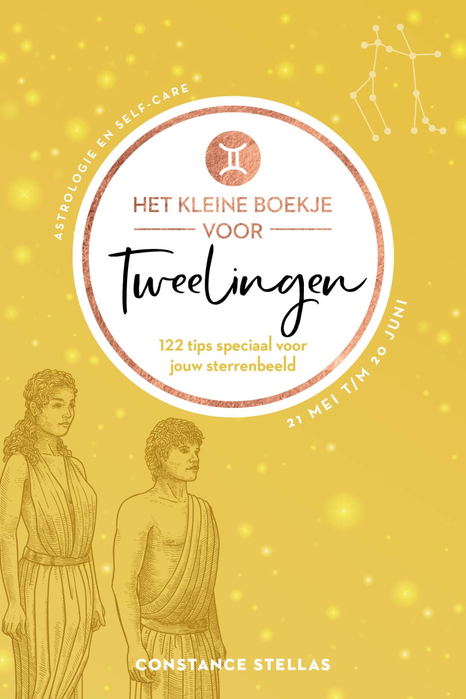 Het kleine boekje voor Tweelingen