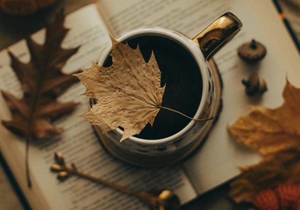 10 boekentips voor de herfst: een maand van transformatie en een nieuw begin