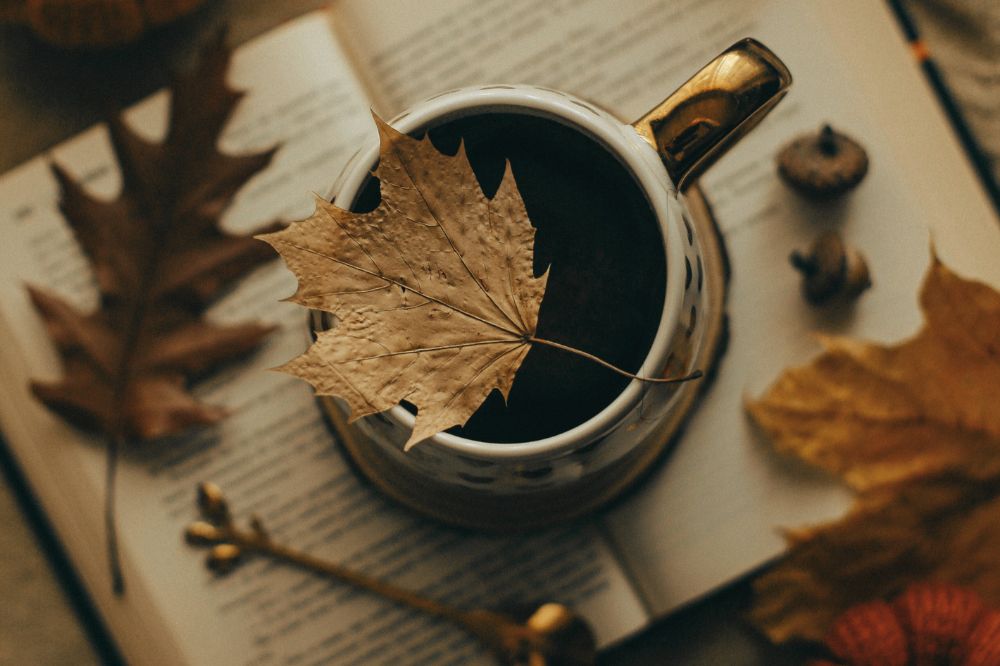 10 boekentips voor de herfst: een maand van transformatie en een nieuw begin