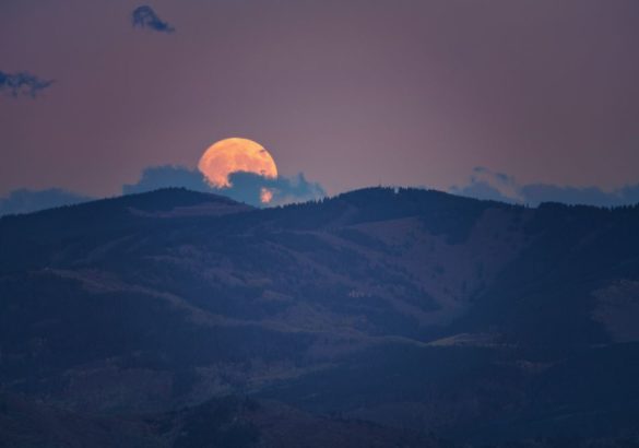 Weekhoroscoop 8 tot 15 februari 2025: volle maan in Leeuw geeft onrust