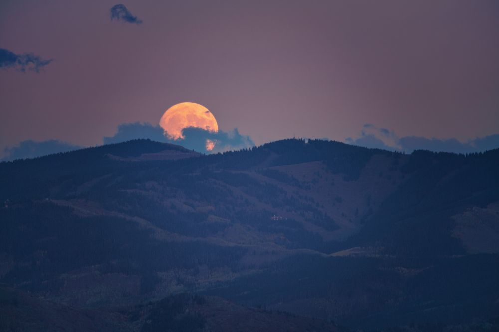 Weekhoroscoop 8 tot 15 februari 2025: volle maan in Leeuw geeft onrust